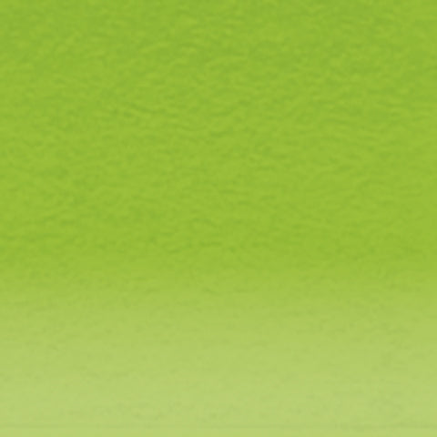 Lápiz de Color Derwent