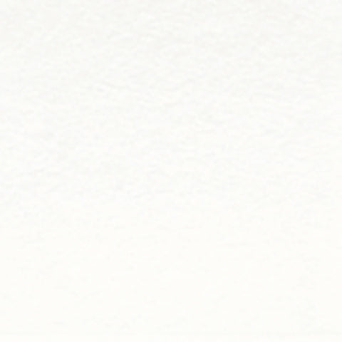 Lápiz de Color Derwent