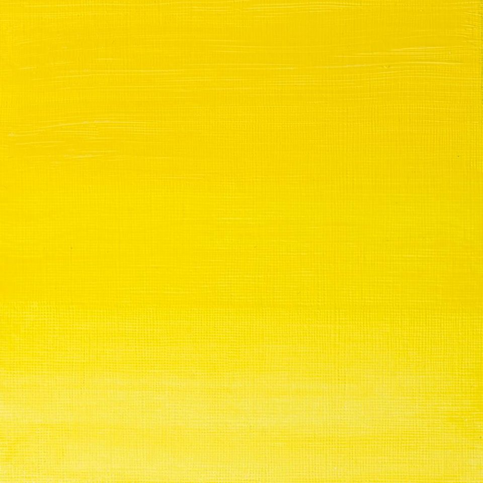 Pintura al Óleo Profesional Winsor & Newton 37ml