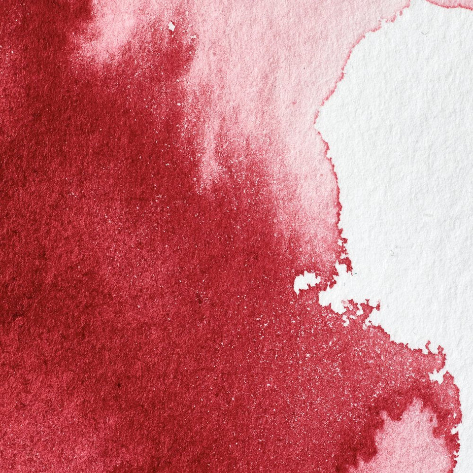 Acuarela Profesional 5ml Winsor & Newton