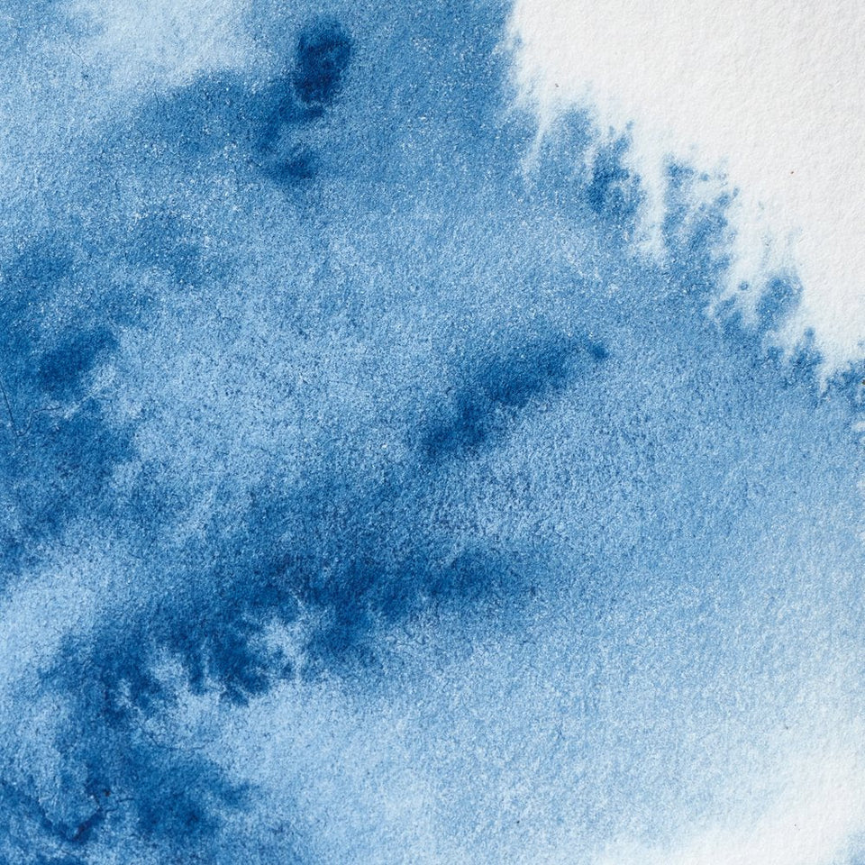 Acuarela Profesional 5ml Winsor & Newton