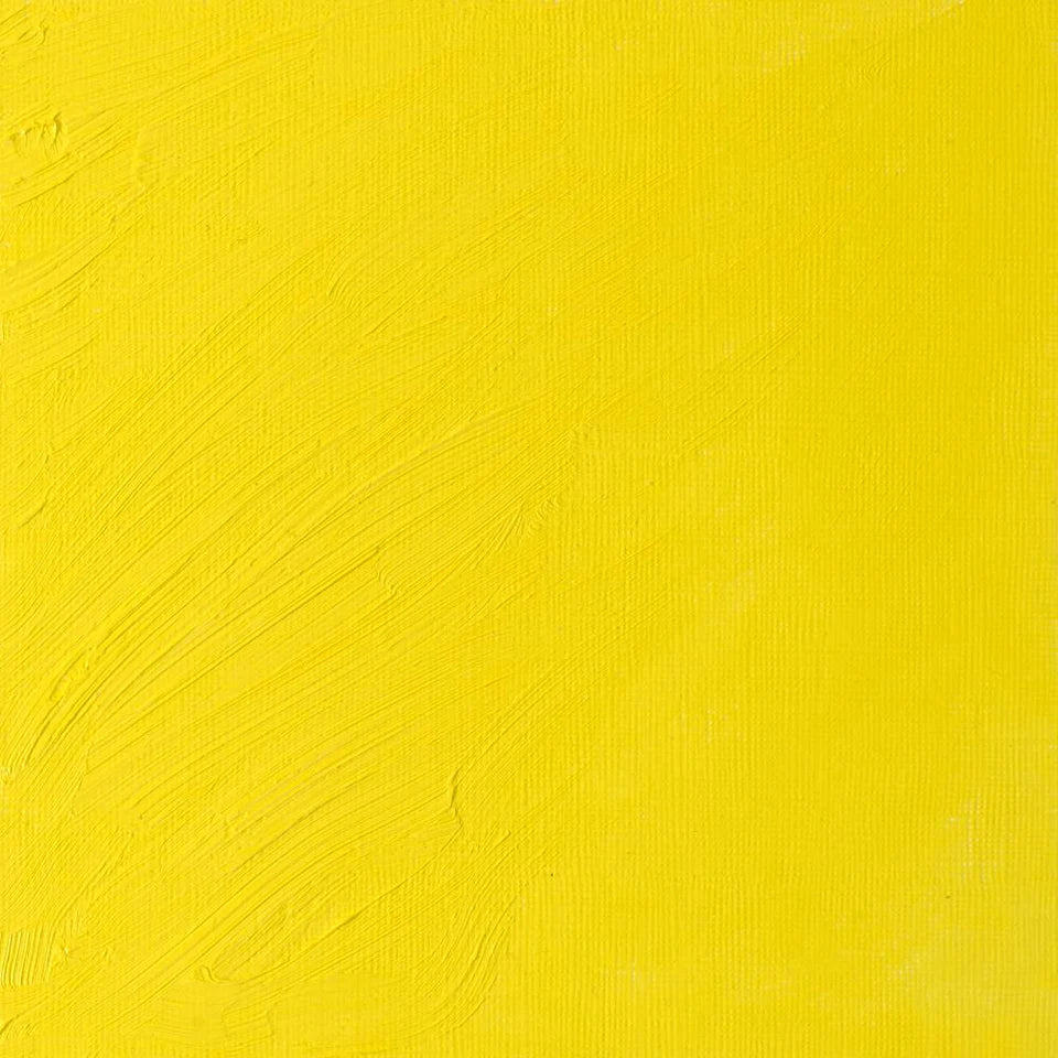 Pintura al Óleo Profesional Winsor & Newton 37ml