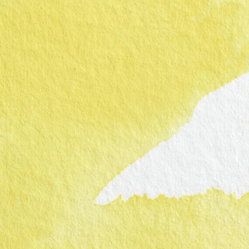 Acuarela Profesional 5ml Winsor & Newton