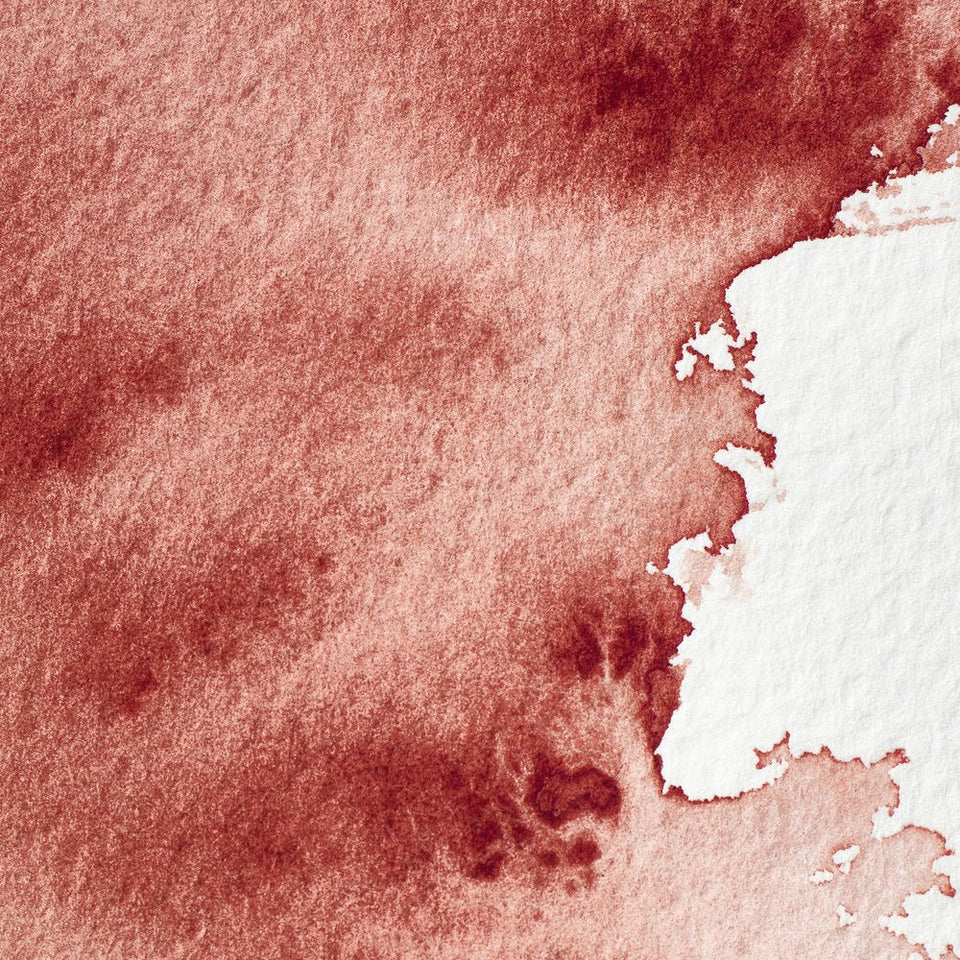 Acuarela Profesional 5ml Winsor & Newton