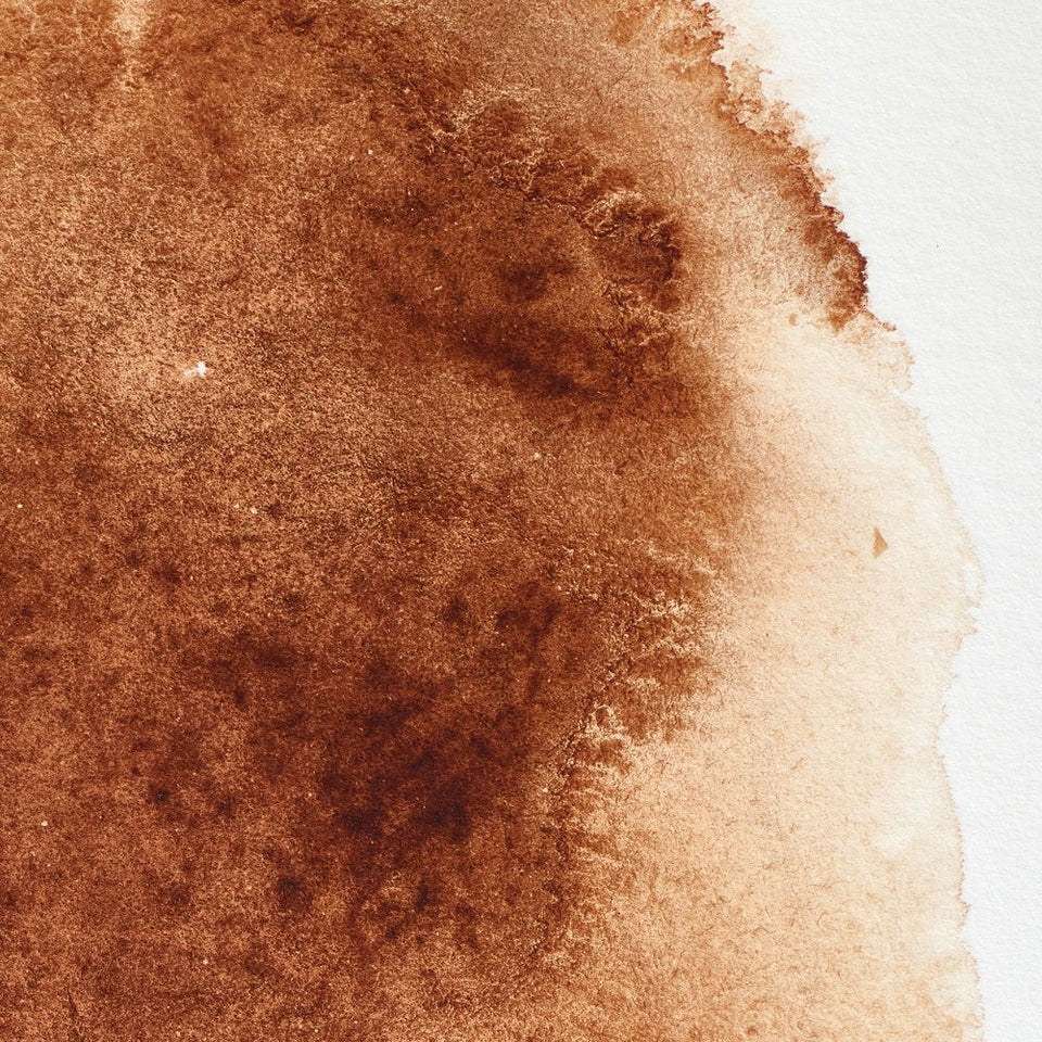 Acuarela Profesional 5ml Winsor & Newton