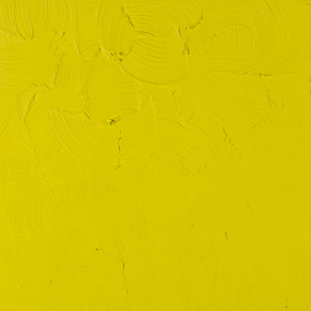 Óleo Artists Oil Gamblin 37ml