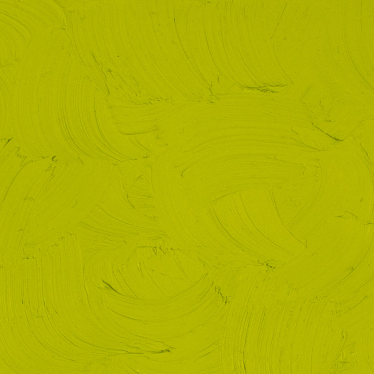 Óleo Artists Oil Gamblin 37ml