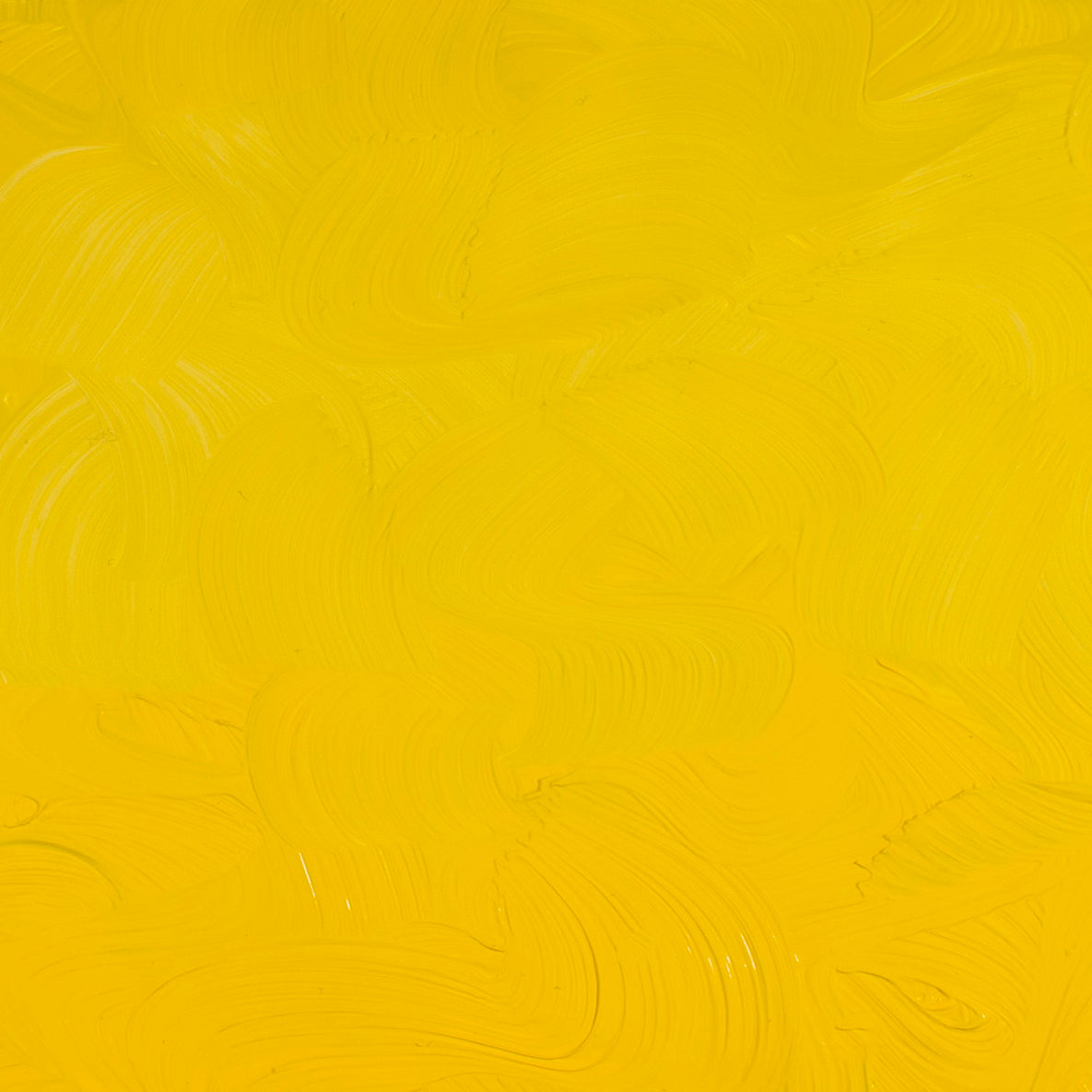 Óleo Artists Oil Gamblin 37ml