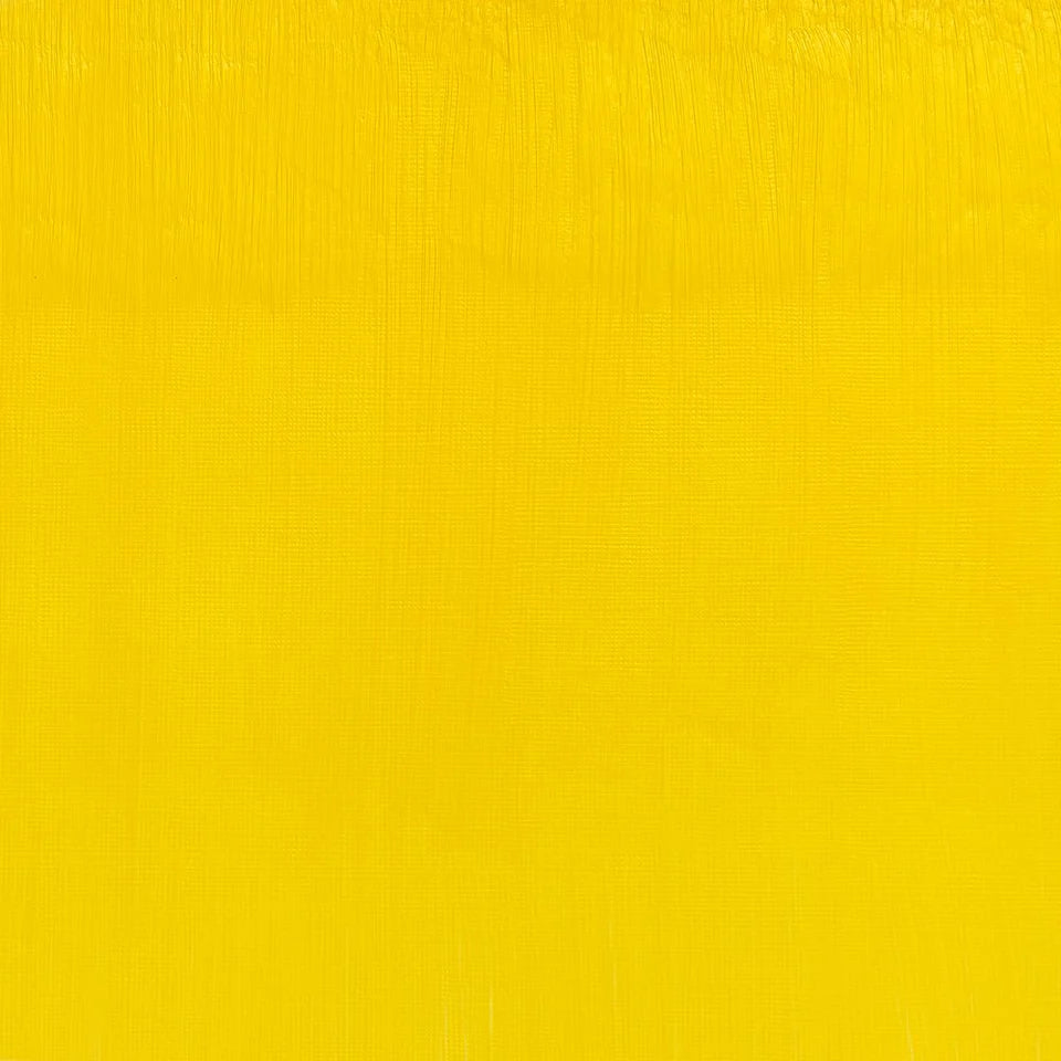 Pintura al Óleo Profesional Winsor & Newton 37ml