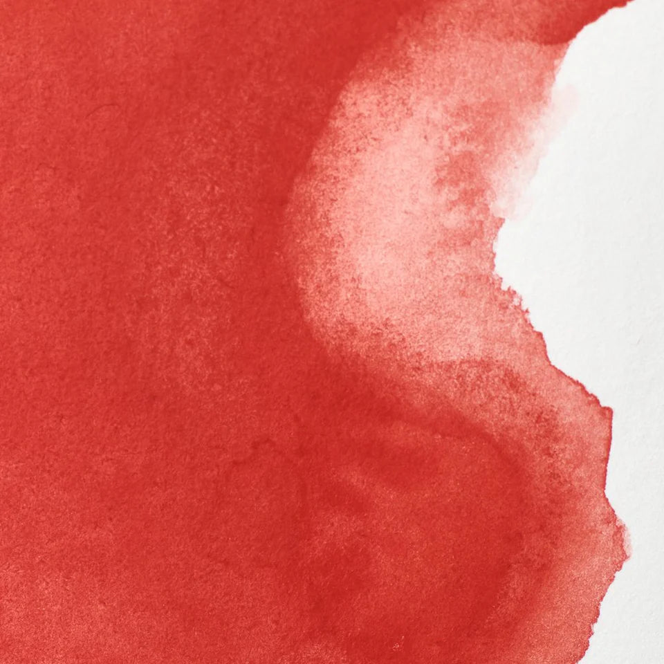 Acuarela Profesional 5ml Winsor & Newton