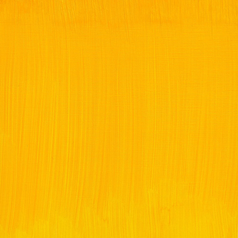 Pintura al Óleo Profesional Winsor & Newton 37ml