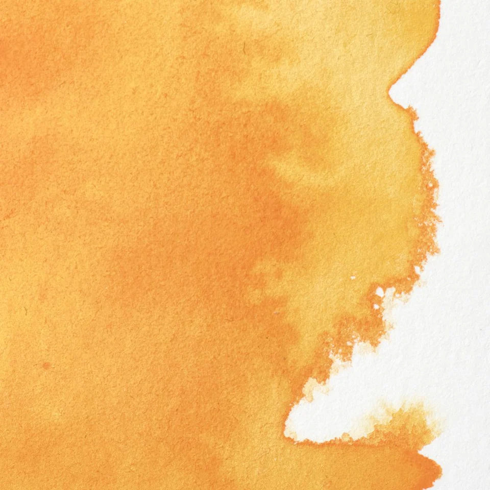 Acuarela Profesional 5ml Winsor & Newton