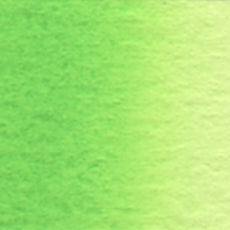 Acuarela Profesional 5ml Holbein