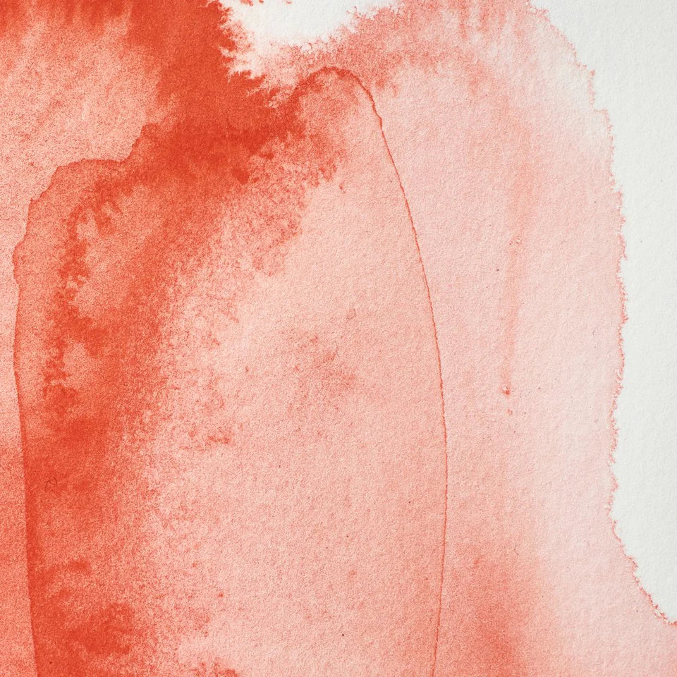 Acuarela Profesional 5ml Winsor & Newton