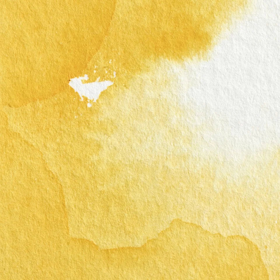 Acuarela Profesional 5ml Winsor & Newton