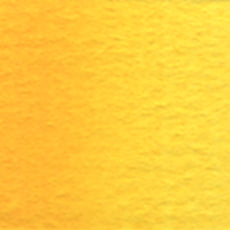 Acuarela Profesional 5ml Holbein