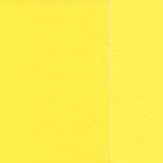 Pintura al Óleo Extra Fino Holbein 40ml