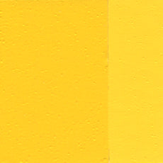 Pintura al Óleo Extra Fino Holbein 40ml