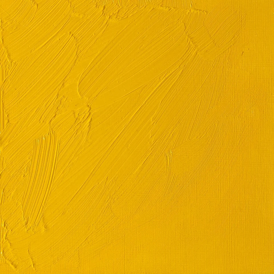 Pintura al Óleo Profesional Winsor & Newton 37ml