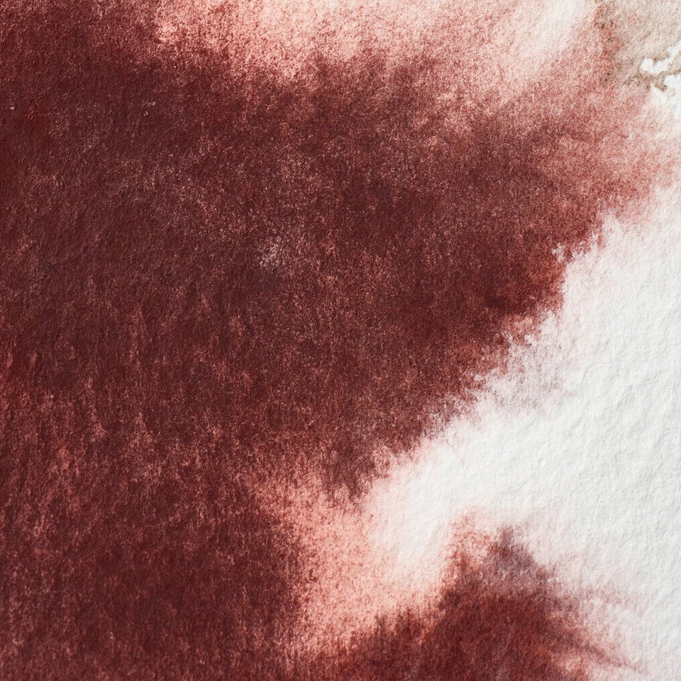 Acuarela Profesional 5ml Winsor & Newton