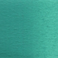 Acuarela Profesional 5ml Holbein