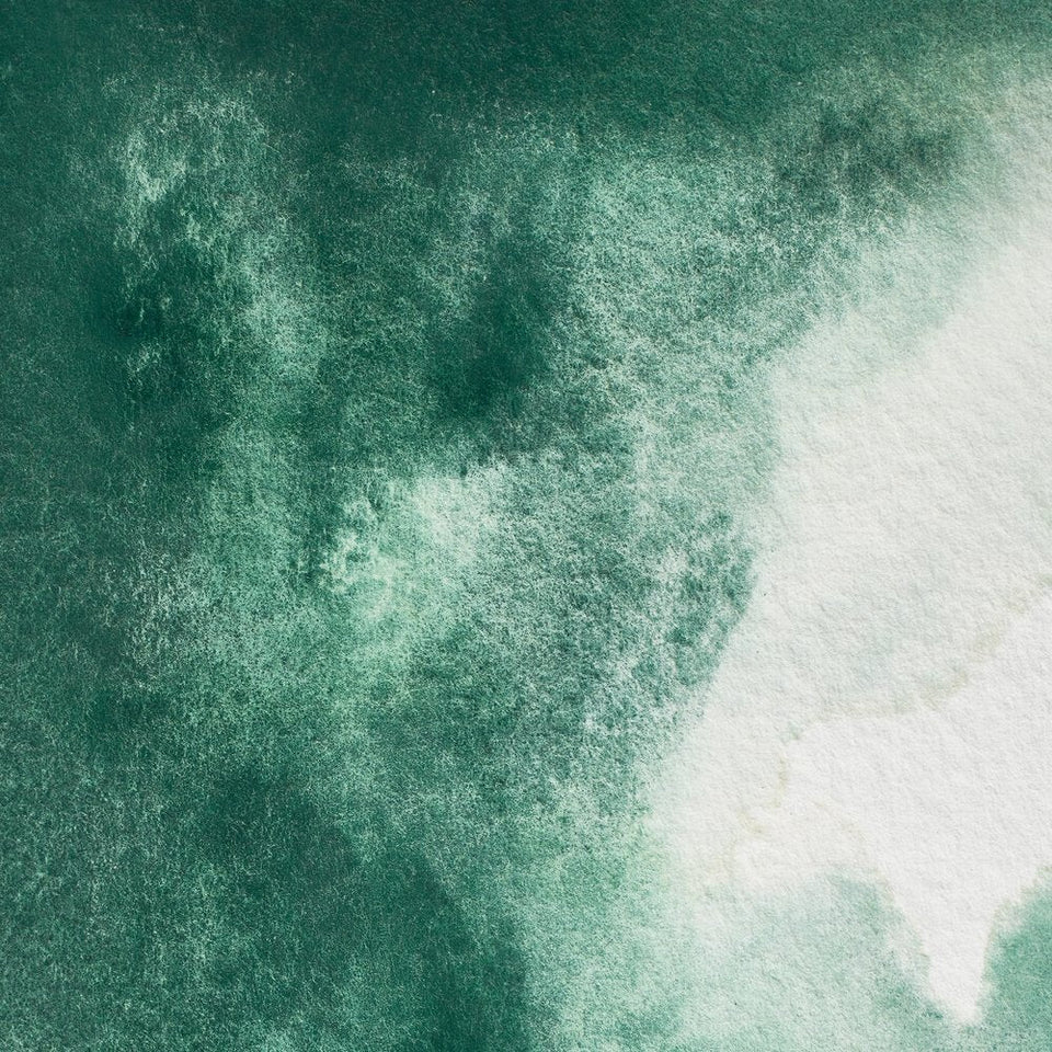 Acuarela Profesional 5ml Winsor & Newton