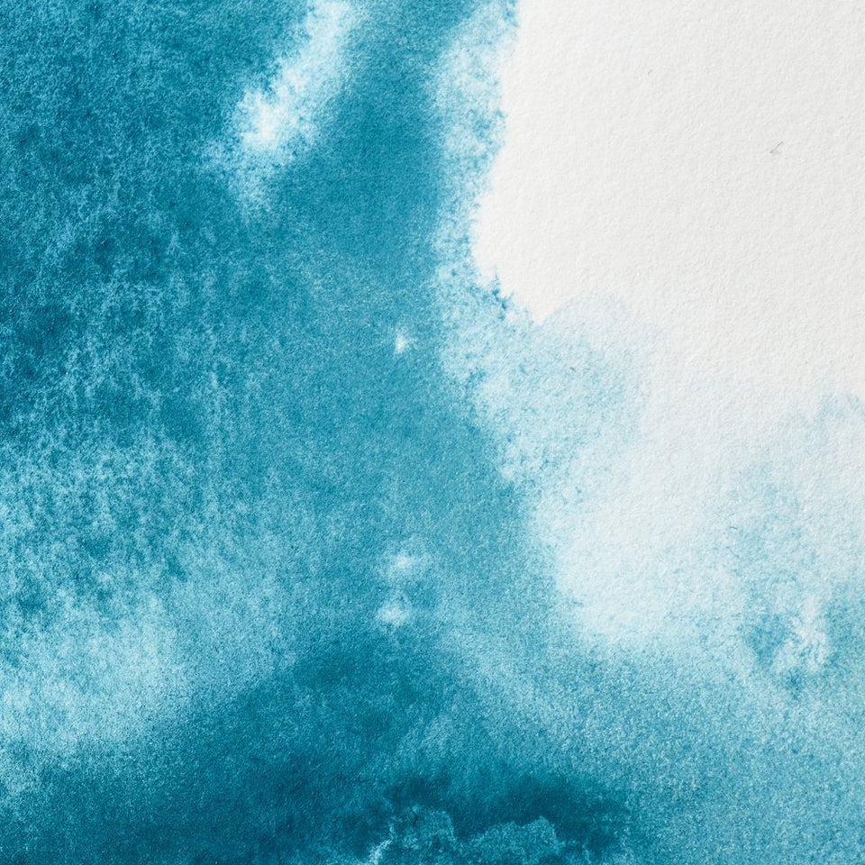 Acuarela Profesional 5ml Winsor & Newton