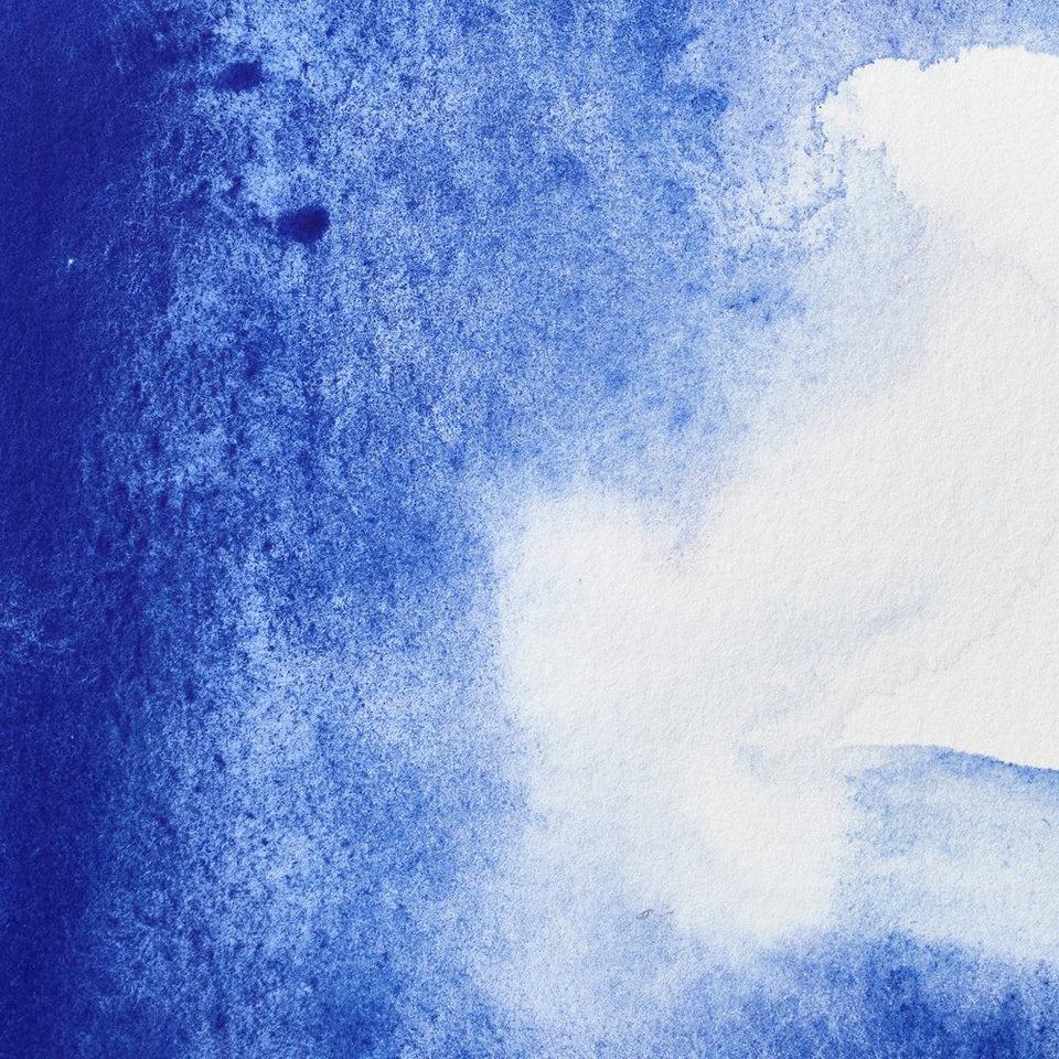 Acuarela Profesional 5ml Winsor & Newton