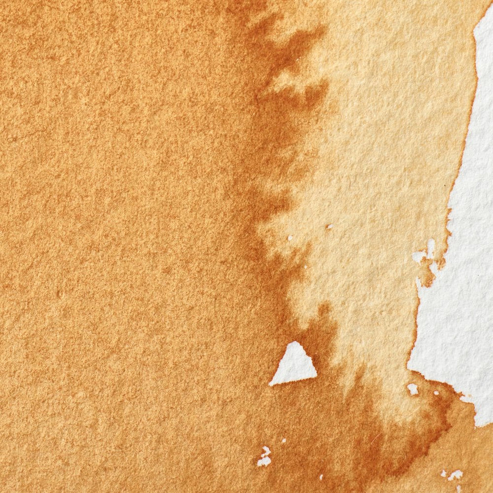 Acuarela Profesional 5ml Winsor & Newton