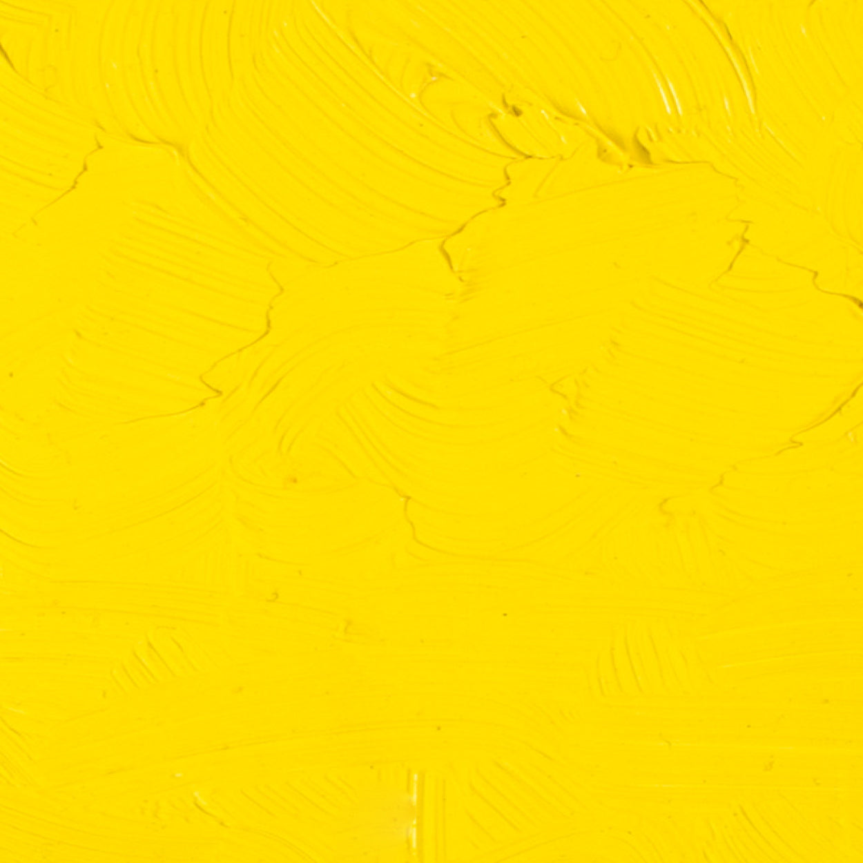 Óleo Artists Oil Gamblin 37ml