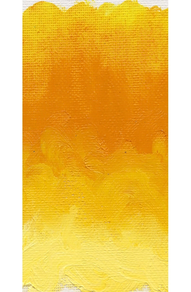 Pintura al Óleo Profesional Williamsburg 37ml