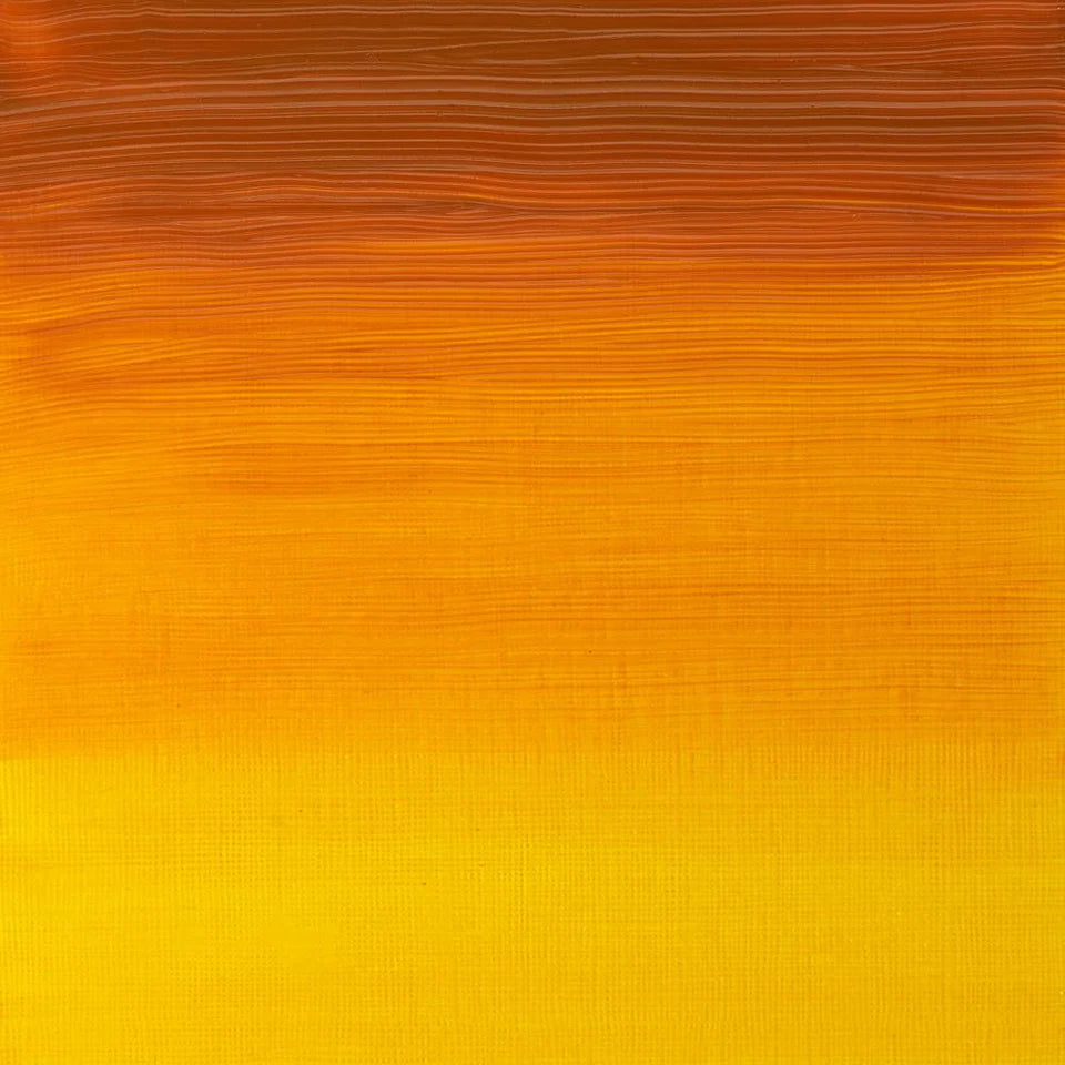 Pintura al Óleo Profesional Winsor & Newton 200ml