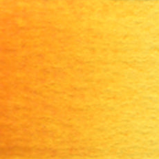 Acuarela Profesional 5ml Holbein