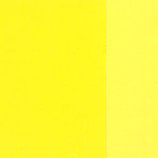 Pintura al Óleo Extra Fino Holbein 40ml