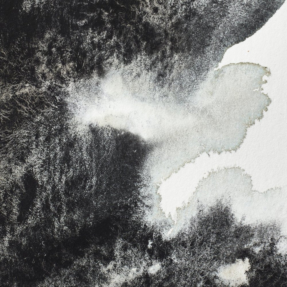 Acuarela Profesional 5ml Winsor & Newton