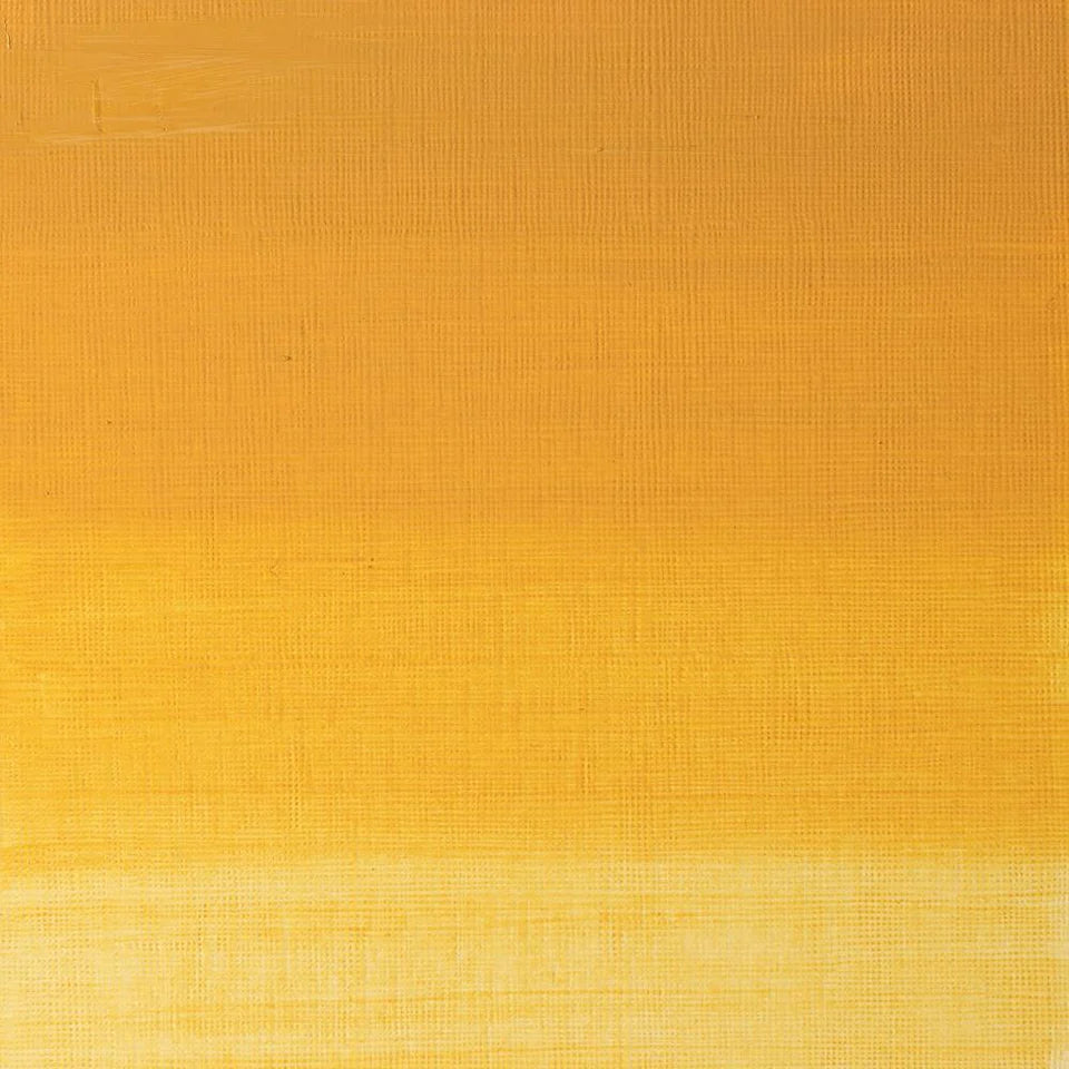 Pintura al Óleo Profesional Winsor & Newton 37ml