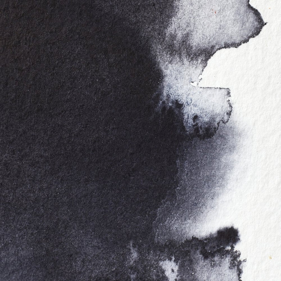 Acuarela Profesional 5ml Winsor & Newton