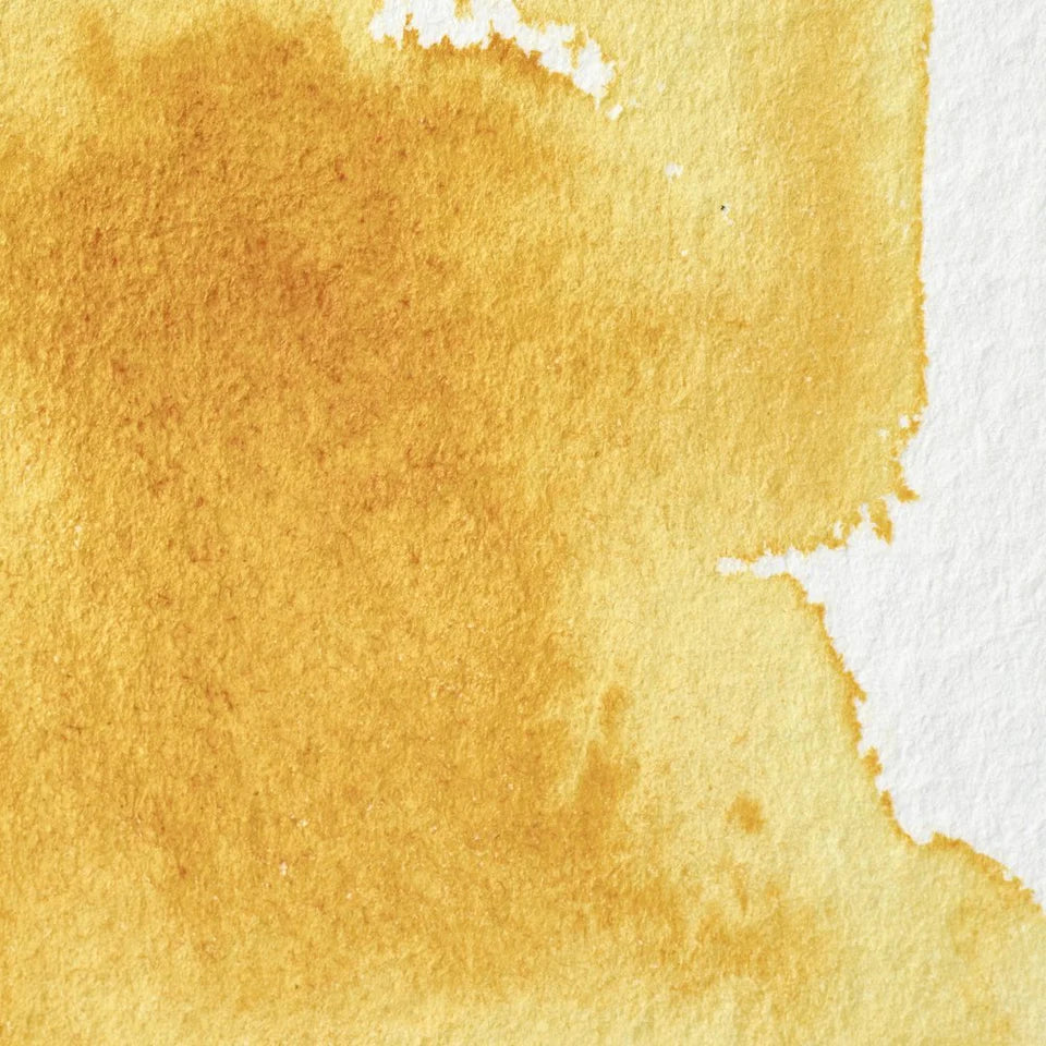 Acuarela Profesional 5ml Winsor & Newton