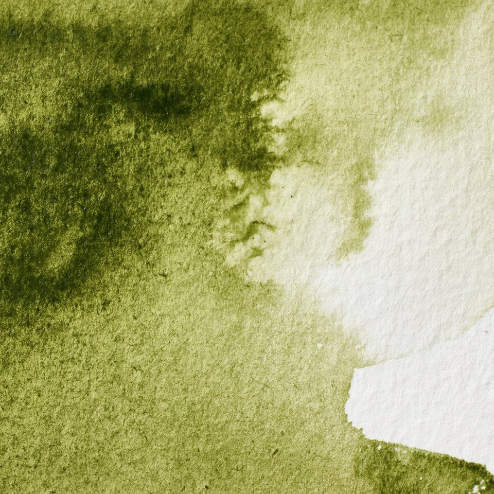 Acuarela Profesional 5ml Winsor & Newton