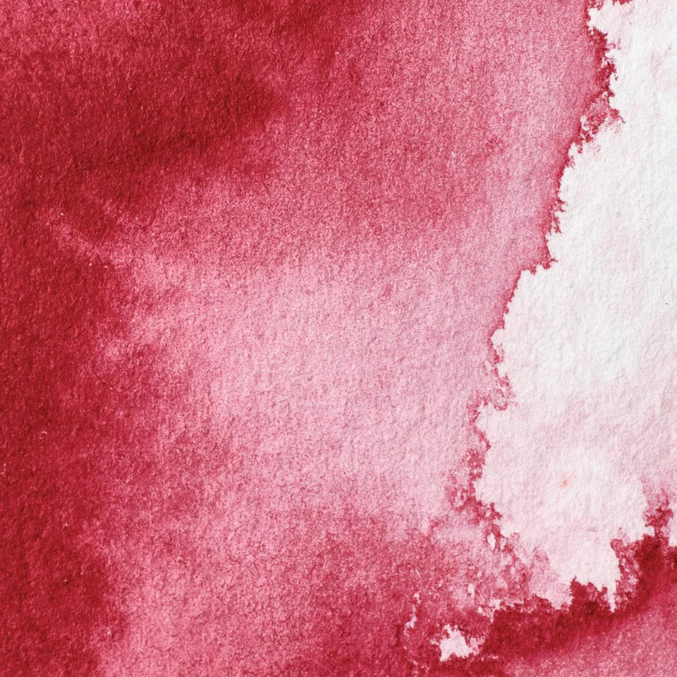 Acuarela Profesional 5ml Winsor & Newton