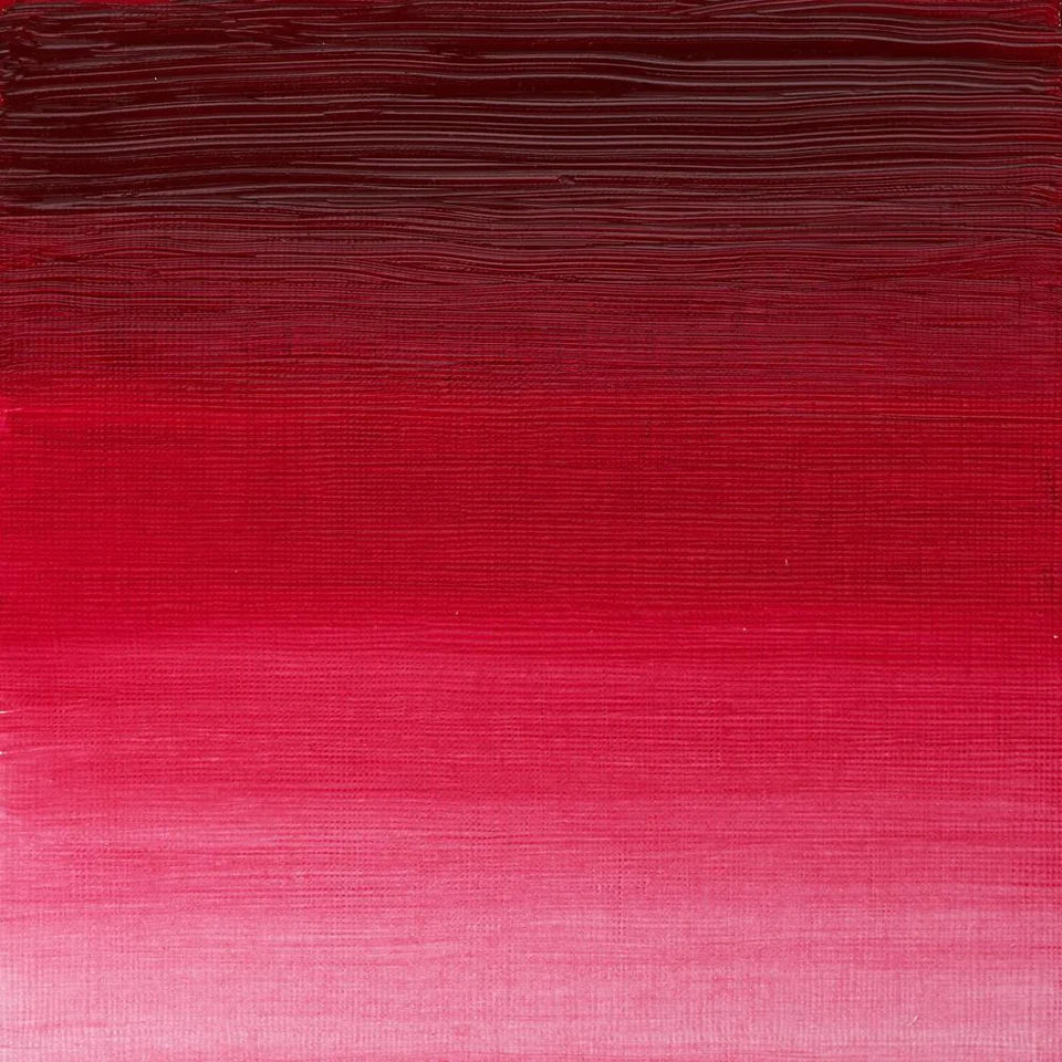 Pintura al Óleo Profesional Winsor & Newton 37ml