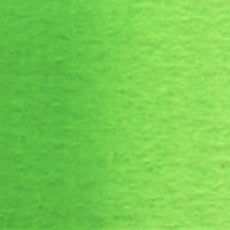 Acuarela Profesional 5ml Holbein