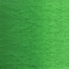 Acuarela Profesional 5ml Holbein