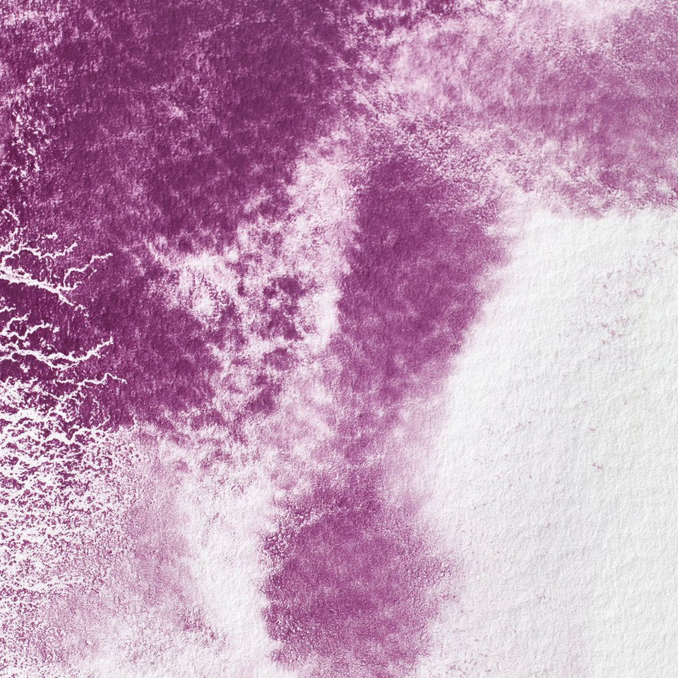 Acuarela Profesional 5ml Winsor & Newton