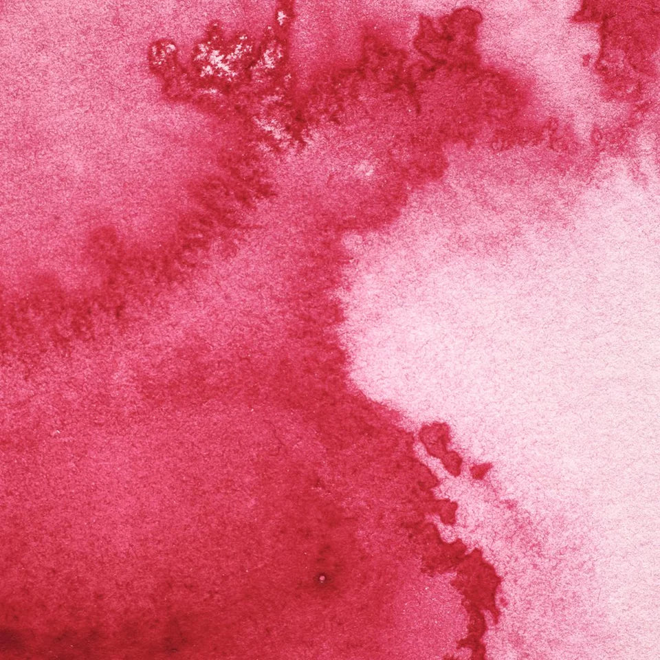 Acuarela Profesional 5ml Winsor & Newton