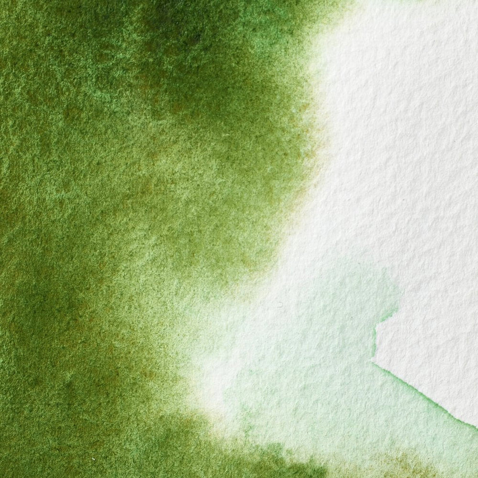 Acuarela Profesional 5ml Winsor & Newton