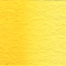 Acuarela Profesional 5ml Holbein