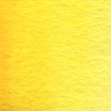 Acuarela Profesional 5ml Holbein