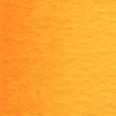 Acuarela Profesional 5ml Holbein