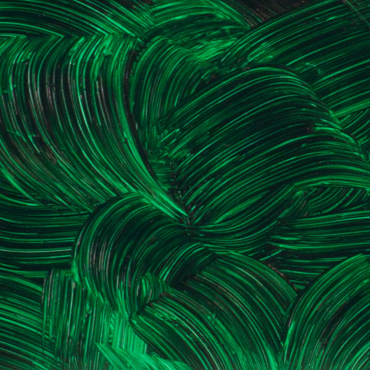 Óleo Artists Oil Gamblin 37ml